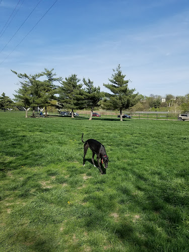 Riverwalk Dog Park