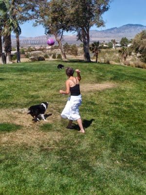 DHS Rotary Dog Park - Desert Hot Springs, CA