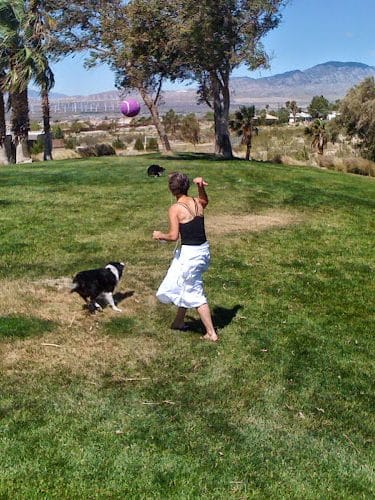 DHS Rotary Dog Park - Desert Hot Springs, CA