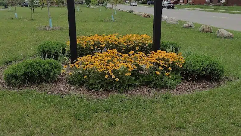 Comstock Playground - Detroit,