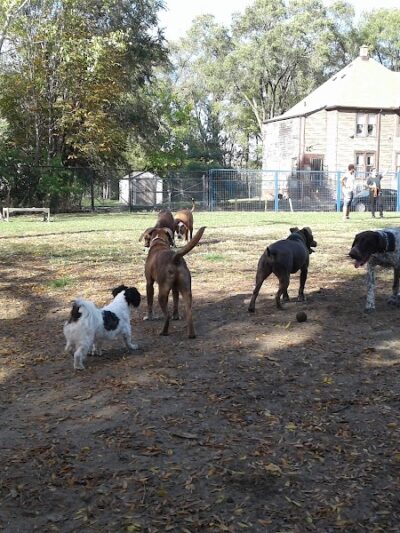 Detroit Dog Park - Detroit,