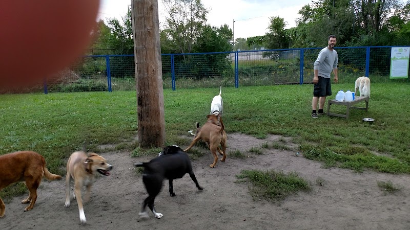 Detroit Dog Park - Detroit,