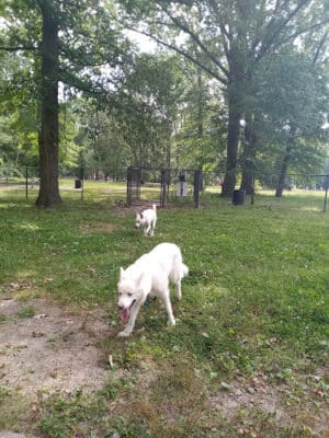 Balduck Park