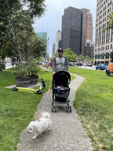 Cadillac Square Dog Park