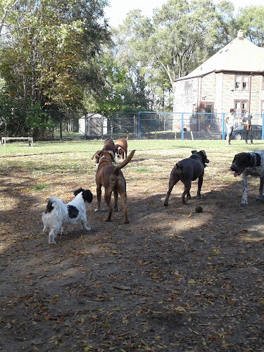 Detroit Dog Park