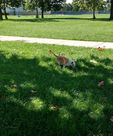 Farwell Park