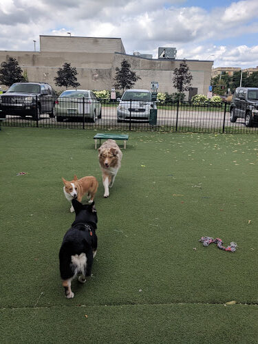 Midtown Dog Park