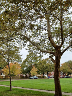 Pallister Park