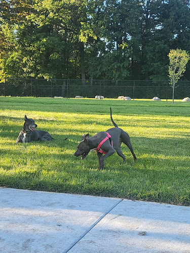 Palmer Dog Park