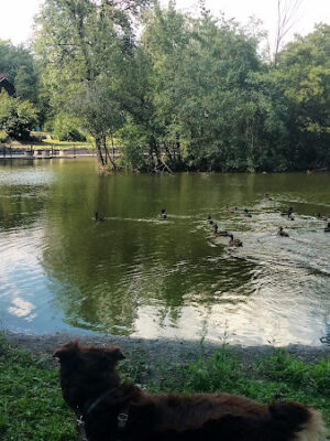 Palmer Park