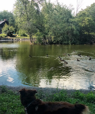 Palmer Park