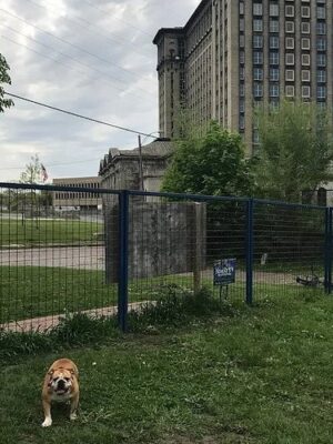 PetSmart P.U.P.'s Detroit Dog Park