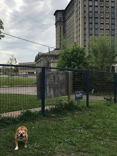 PetSmart P.U.P.'s Detroit Dog Park