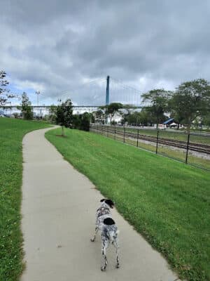 Riverside Dog Park