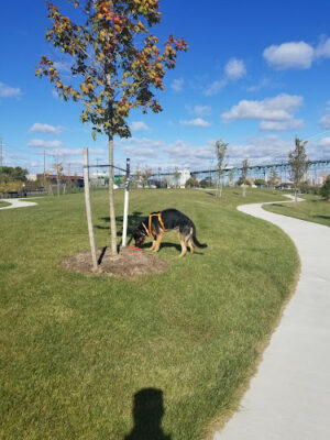 Riverside Park