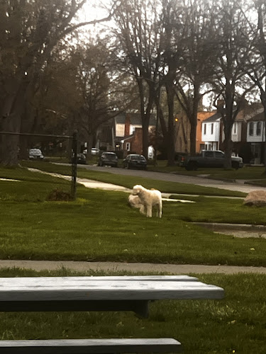 Rosemont Acacia Park - Detroit,