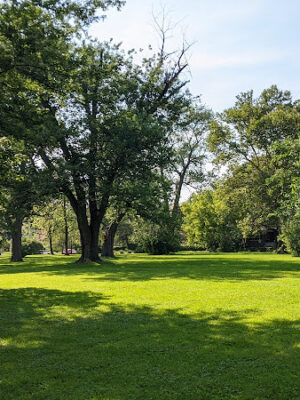 Voigt Park