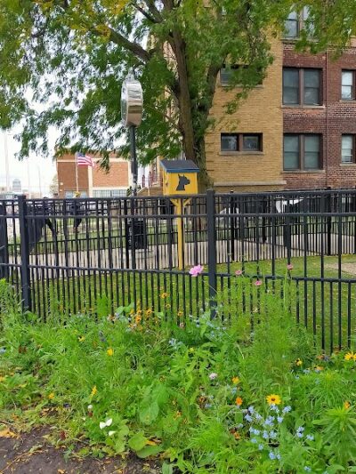 Midtown Dog Park - Detroit,
