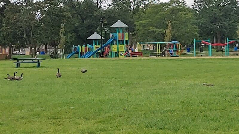 Palmer Park - Detroit,