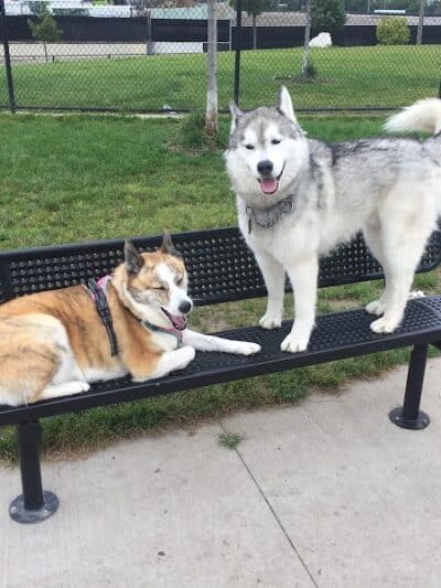 Riverside Dog Park - Detroit,