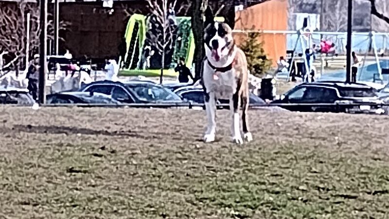 Riverside Dog Park - Detroit,