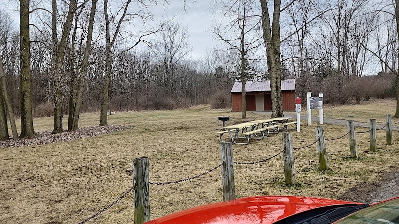 Padgett Dog Park - DeWitt,