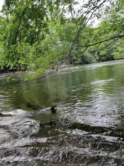 Dexter-Huron Metropark - Dexter,
