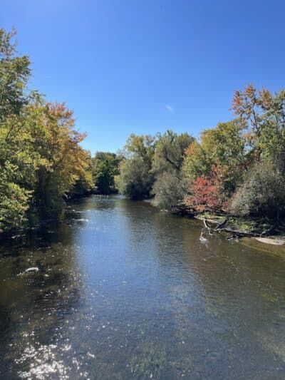 Dexter-Huron Metropark - Dexter,