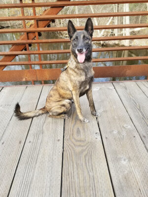 Dexter-Huron Metropark