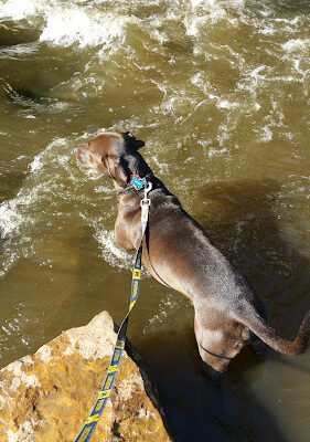 Mill Creek Park North