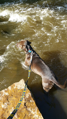 Mill Creek Park North