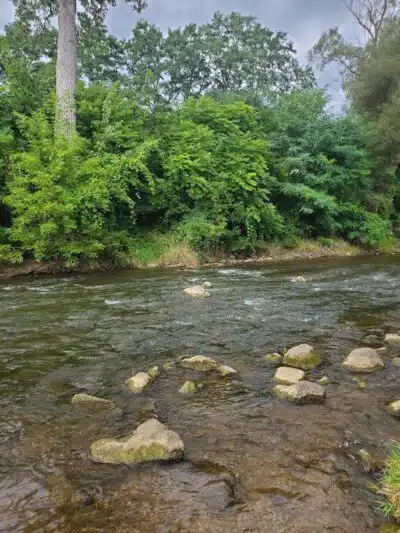 Mill Creek Park North - Dexter,