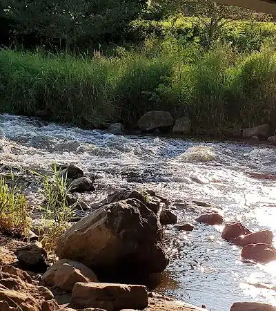 Mill Creek Park North - Dexter,