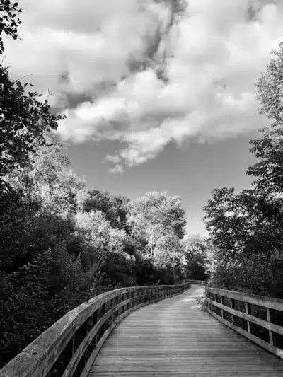 Mill Creek Park North - Dexter,