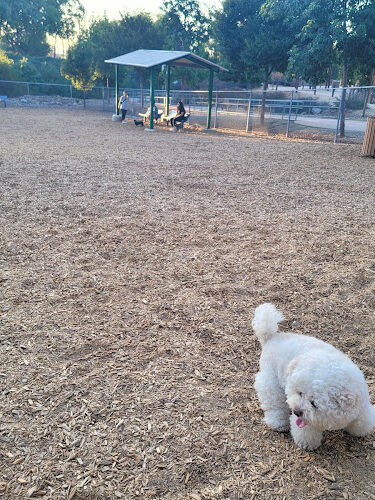 Pantera Dog Park