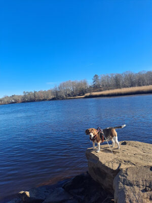 Sweets Knoll State Park