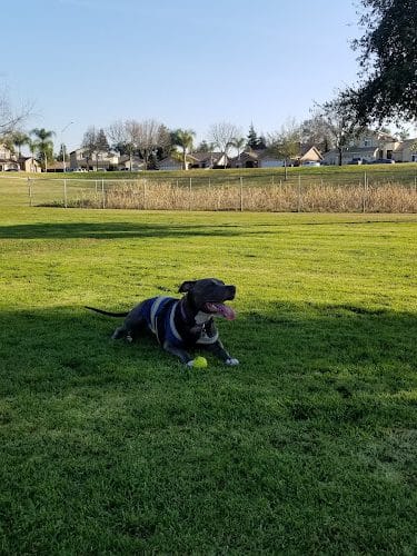 Dog Park - Dinuba, CA