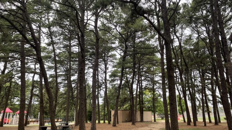 Otsego Park - Dix Hills, NY