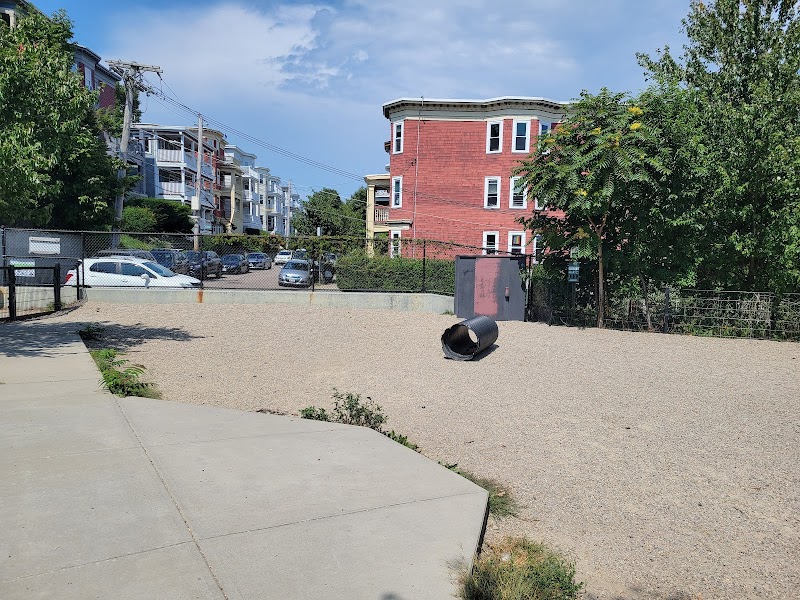 dorchester-massachusetts-ronan-dog-park-2