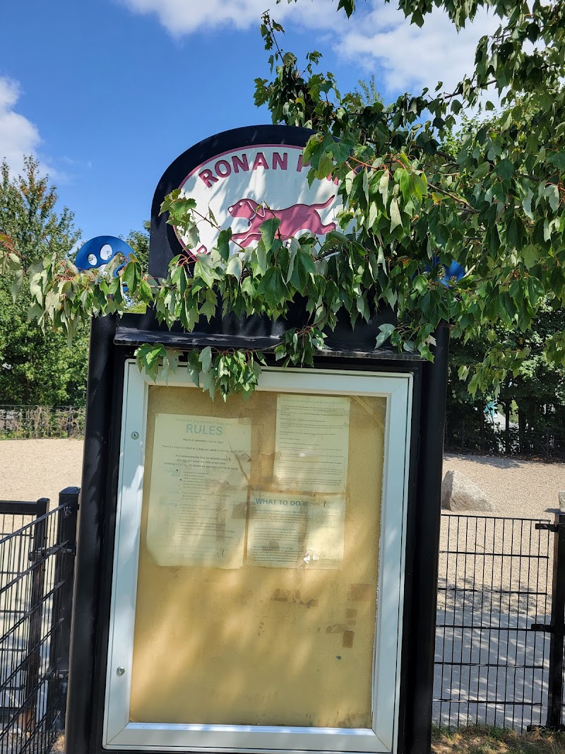 dorchester-massachusetts-ronan-dog-park-3