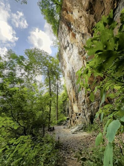 Birdsboro Preserve - Douglassville, PA