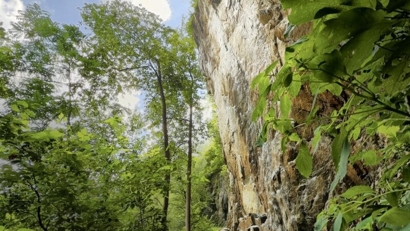 Birdsboro Preserve - Douglassville, PA