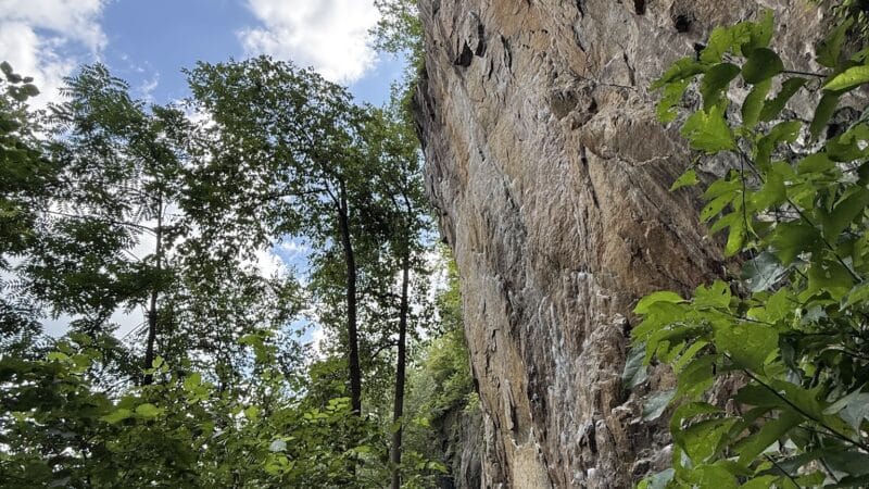 Birdsboro Preserve - Douglassville, PA