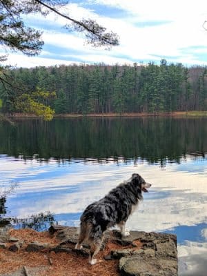 Birdsboro Preserve