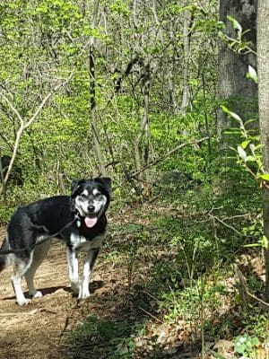 Monocacy Hill Recreation Area