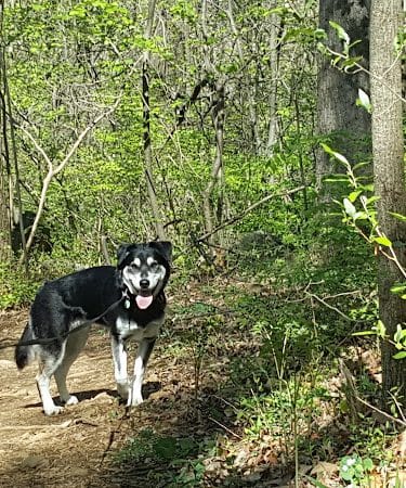 Monocacy Hill Recreation Area