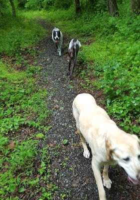 Union Township Recreation Area