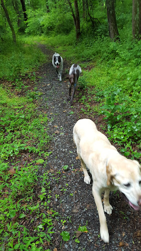 Union Township Recreation Area