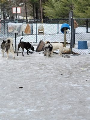 Longhill Dog Park