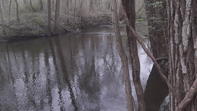 Dowagiac Woods - Dowagiac,